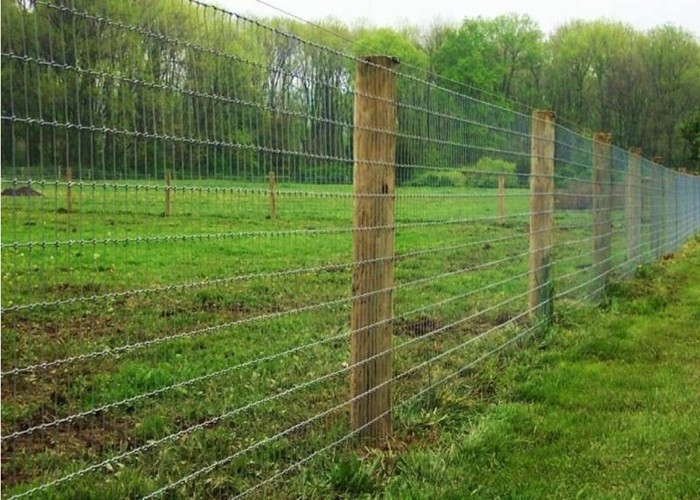 Protection Electro Galvanized Steel Cattle Fence , Deer / Grassland Wire Fence