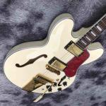 Double F-Holes Hollow Body Jazz Electric Guitar Ebony Fretboard Tremolo System