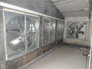 Quality Cooling System, Poultry Fan wholesale