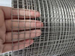Quality 2mm Stainless Steel Welded Wire Mesh 14 Gauge wholesale