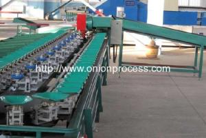 Quality Automatic Onion Water Washing and Grader Line wholesale
