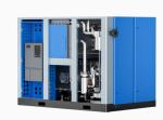 280KW Hot Sale Oil-Free Super Coating Dry Type Oil Free Silent Screw Air
