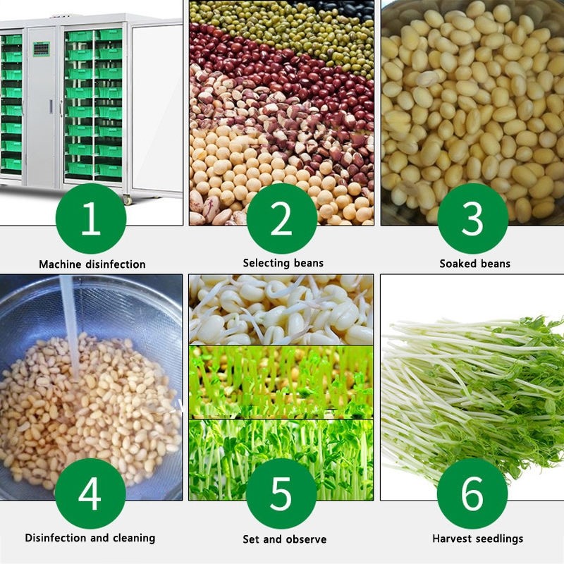 Grass Peanut Hydroponic Fodder Machine 250kg/Day Commercial Sprouting Equipment