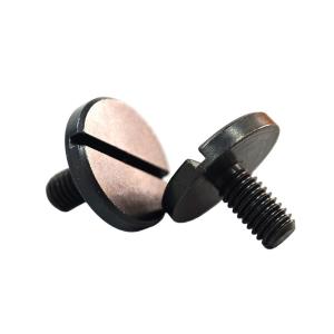 Quality Length 15mm Stainless Steel Slot Head Screws With Black Zinc Coating wholesale