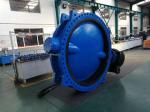 china factory manufacturer bs en Big size concentric double flanged butterfly