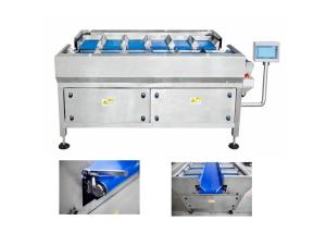Quality 12 Head Manual Combination Weigher With Belt wholesale