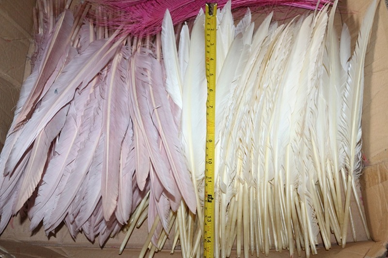 Valentine's Day Millinery Supplies Turkey Feather Quill for Worldwide Shipping