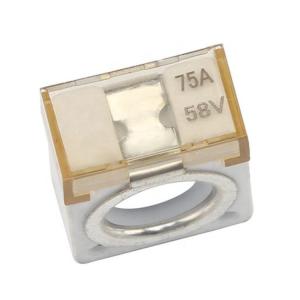 Quality M8 Hole Car Battery Terminal Fuse 75A wholesale