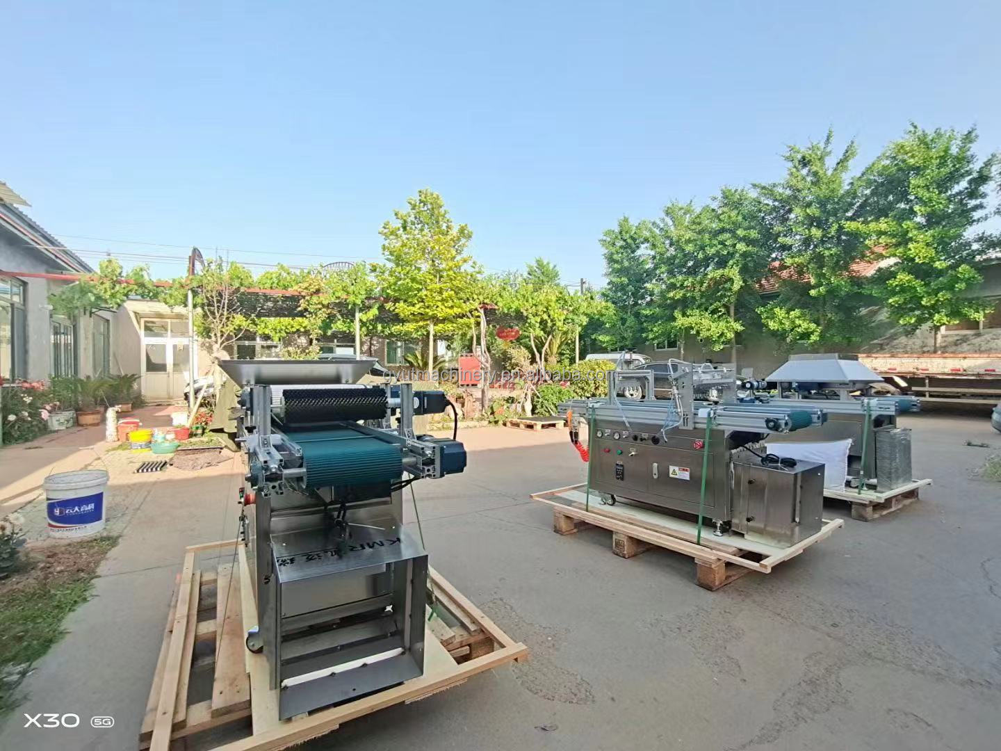 accuracy Seed Planter for Consistent and Sprout Planting in Vegetable Production