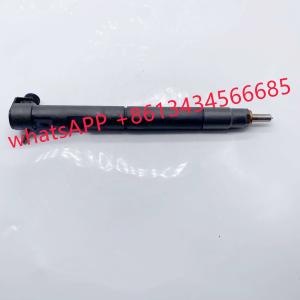 Quality 28229873 33800-4A710 40090300076A Common Rail Injector For Kia Bongo Hyundai Starex H-1 wholesale