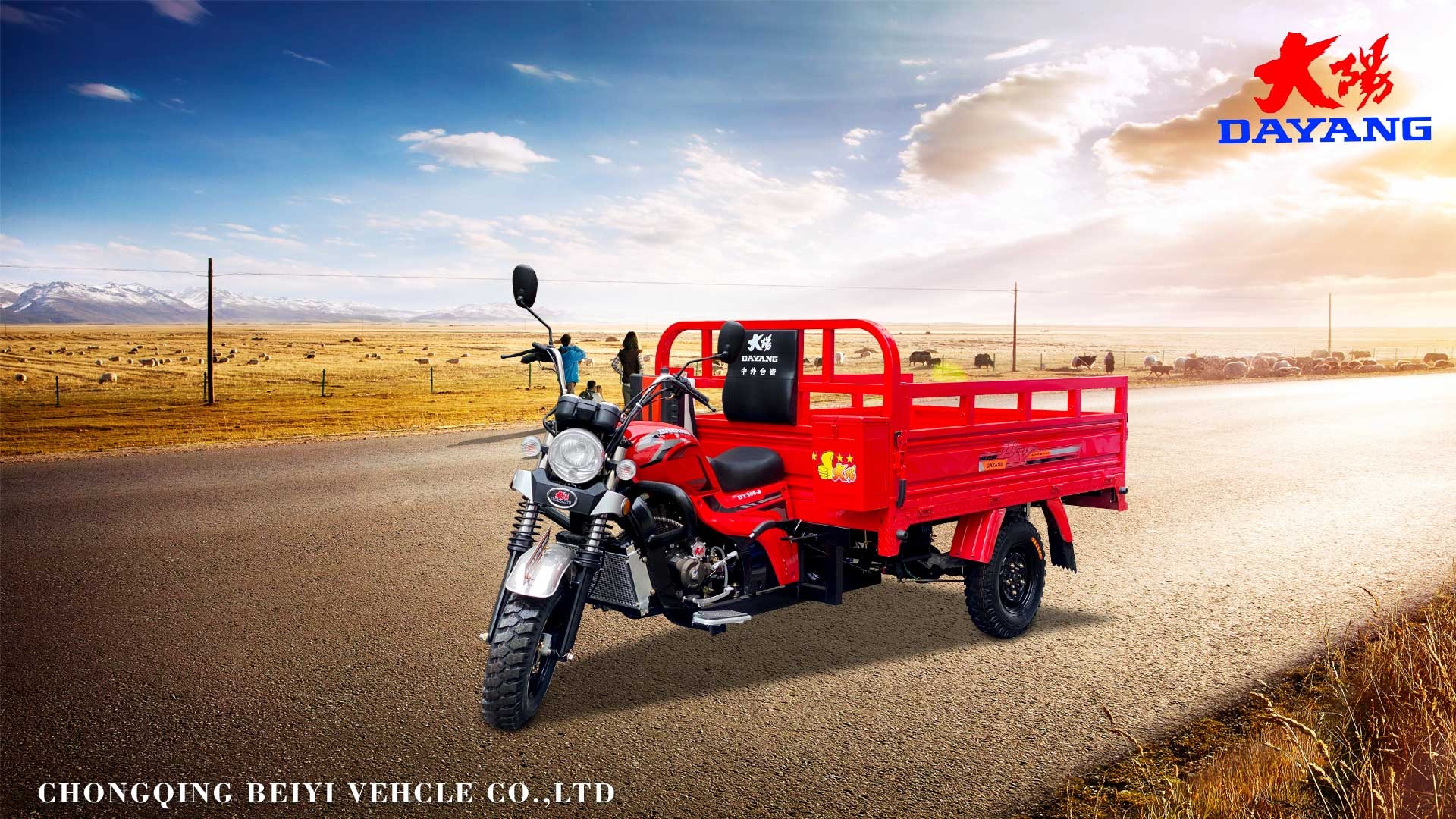 50*100 Chassis Gas Powered Tricycle for 1 Passenger and Cargo in Nigeria's Logistics