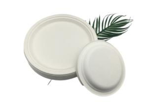 Quality 10&quot; 20g Bar Biodegradable Sugarcane Bagasse Plates wholesale