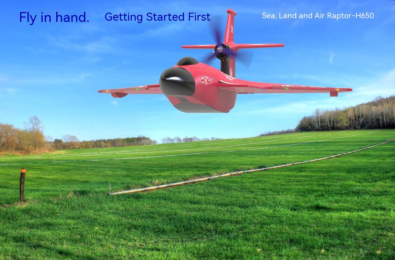 Electric Power Raptor H650 Long Range 2.4g Proportional Sea Land Air Led Aerobatics Stunt RC Glider with 6 Channels Control