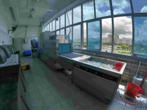 Quality Canteen Automatic Dishwasher Machine Channel Stable App Controlled Dishwasher wholesale