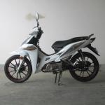 6.5KW Front Disc Brake TR135-NG Cub Motorcycle