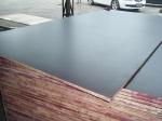film faced plywood/Cheap price construction playwood / high quality marine