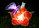 LED optical fiber rose hummingbird wedding scene layout lighting festival