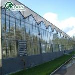 Customized Canada Tunnel Greenhouse Garden Tunnel with Glass or PC Sheet