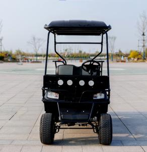 Quality Customizable Rechargeable High-end Electric Golf Buggy CE Approved Electric Golf Cart wholesale