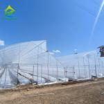 Plastic Polytunnel Plastic Film Hot House Serre Agricole Agricultural Tunnel