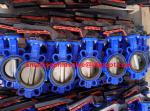 DIN PN16 cast iron butterfly valve