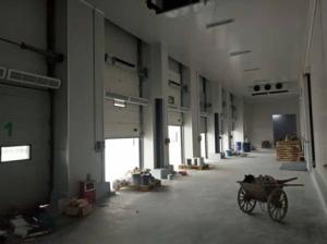 Quality Polyurethane Thermal Insulation Commercial Sectional Steel Doors Industrial Customized wholesale