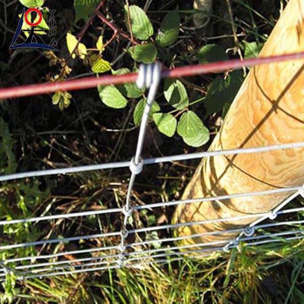 Metal Galvanized Deer Field Fence High Tensile Woven Wire Fixed Farm Cattle