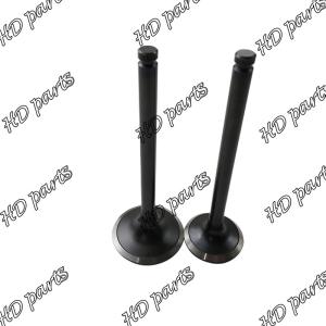 Quality FD46 IN Engine Piostion Valve 13201-01T00 EX 13202-01T00 For Nissan wholesale