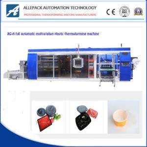 Quality 810mm Automatic Thermoforming Machine For PP PE BOPS Container wholesale