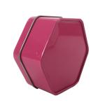 Recycled Food Tins for Cookies Customized Tin Boxes for Sale Hexagonal Metal Tin