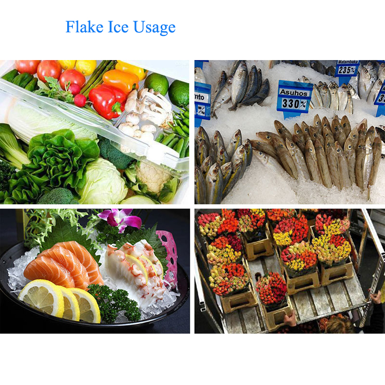 20 Ton Industrial Freshwater Flake Ice Machine 220V