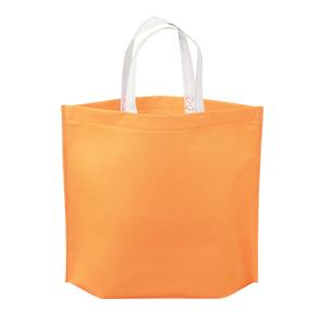 Quality Handled Non Woven Biodegradable Bags Shrink Resistant Spunbonded 68gsm wholesale
