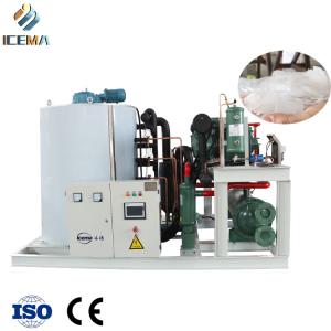 Quality 10t/24h Freshwater Flake Ice Machine wholesale