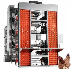 Quality Automatic Layer Battery Chicken Cages 4 Tiers 5 Tiers Agricultural Poultry Farming Cage wholesale