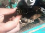 ISO9001 Excavator Solenoid Valve YN35V00020F1 For SK200-6 Kobelco Excavator