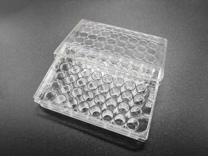 Quality Transparent TCT Tissue Culture Treatment 48 Well Cell Culture Plate Standard Packing wholesale