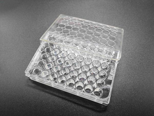 Transparent TCT Tissue Culture Treatment 48 Well Cell Culture Plate Standard