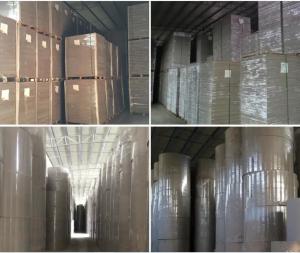 Quality Duplex Paper Pulp Board Environmental Friendly Biodegradable Grey Board Paper wholesale