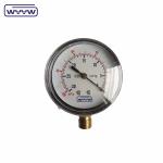100 kpa SS304 Capsule Pressure Gauge 63mm 100kpa Bottom Mount