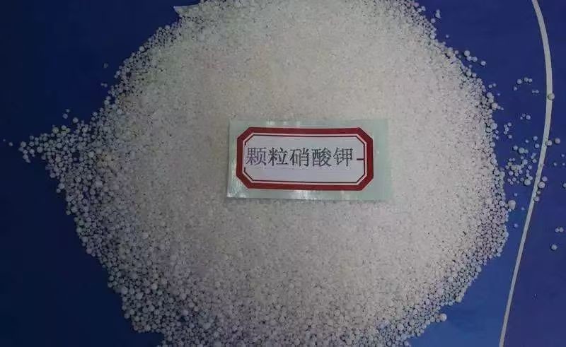 Transparent Potassium Nitrate Fertilizer CAS No 7757-79-1 KNO3