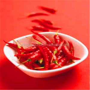 Quality GMP Long Chinese Dried Spicy Chili Peppers May Contain Sulfites wholesale