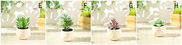 Mini Succulent Artificial Potted Plants Strange Shape Green Platsic Material