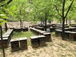 Wholesale Natural Bee Honey Sidr Honey 100% Natural Bee Products from China