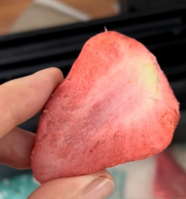Silicone Oil Heating Commercial Freeze Dried Fruit Machine for Meat Fish Vegetable