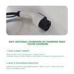 DC 32A 7Kw Electric Car Charging Vehicle Charge GBT Port Fast EV Charger for