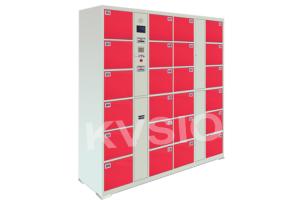 Quality Multifunctional Parcel Delivery Lockers High Power With Facial Recognition Camera wholesale
