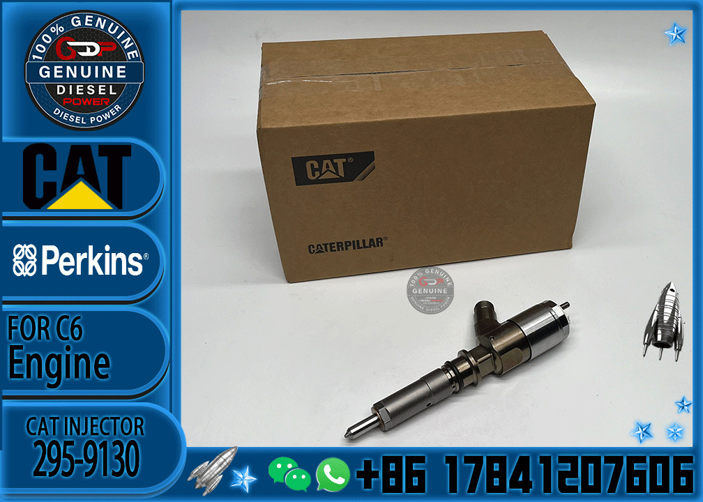 Common Rail C6 Diesel Engine Fuel Injector 317-2300 326-4700 295-9130 10R7675