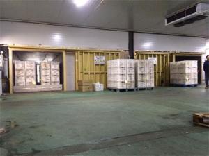 Quality 4pallets/2000kg PLC Vacuum Refrigeration Cooler For Fresh Mushrooms wholesale