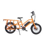 Smart Sensor Type Electric Cargo Bike Ideal for Food Delivery 13.4 Ah Battery