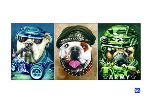 Quality PET / PP Animal Print Lenticular Posters For Home Decoration SGS wholesale